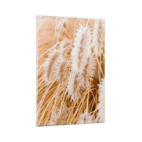 Billede på glas - Gyldent susen af græsser - 70x100 cm