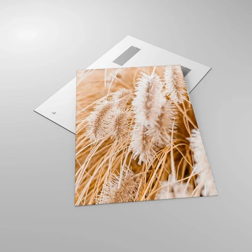 Billede på glas - Gyldent susen af græsser - 70x100 cm