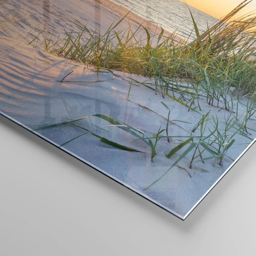 Billede på glas - Havet brummer, fuglene synger, en vild strand midt i græsset.... - 50x50 cm