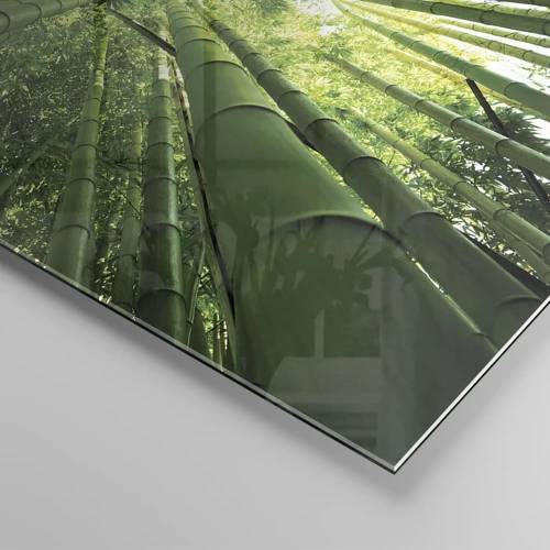 Billede på glas - I en bambuslund - 100x40 cm