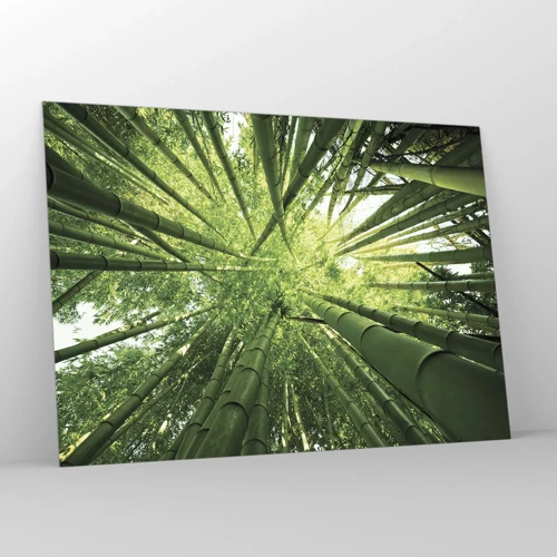 Billede på glas - I en bambuslund - 100x70 cm