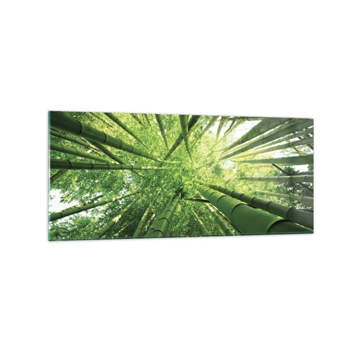 Billede på glas - I en bambuslund - 120x50 cm
