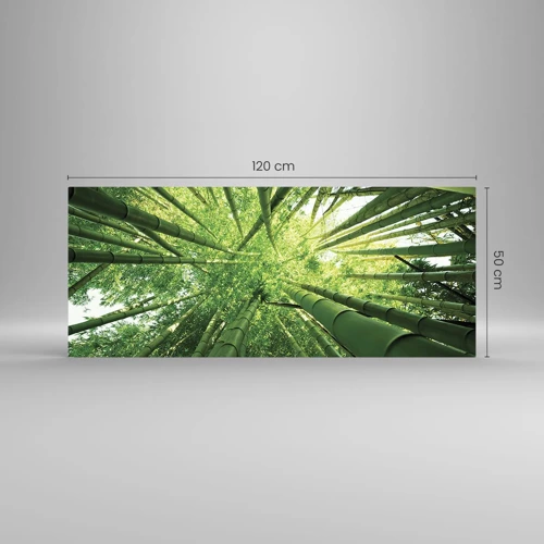 Billede på glas - I en bambuslund - 120x50 cm