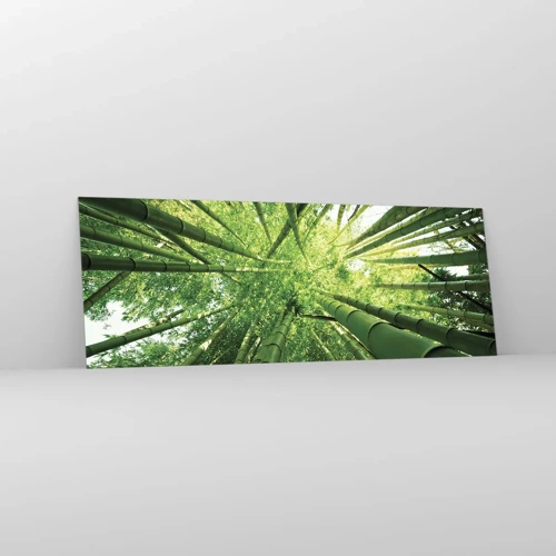 Billede på glas - I en bambuslund - 140x50 cm