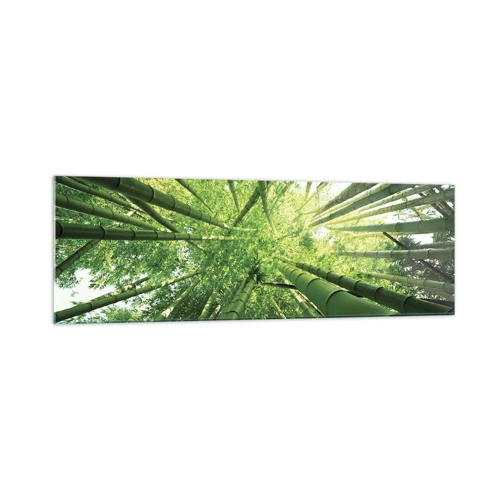 Billede på glas - I en bambuslund - 160x50 cm