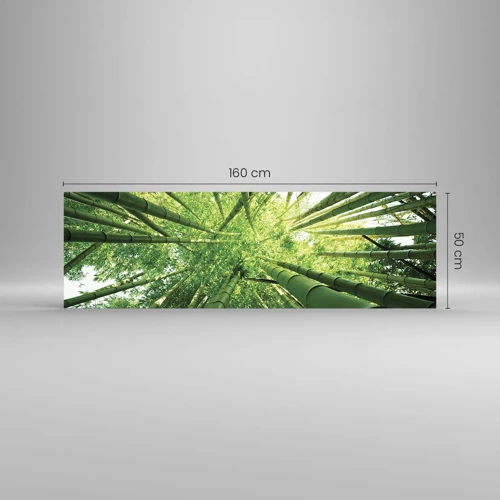 Billede på glas - I en bambuslund - 160x50 cm