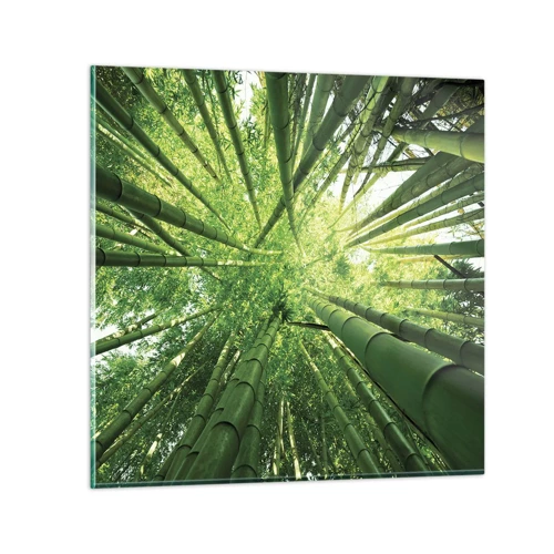 Billede på glas - I en bambuslund - 40x40 cm