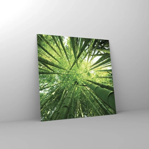 Billede på glas - I en bambuslund - 70x70 cm