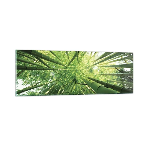 Billede på glas - I en bambuslund - 90x30 cm