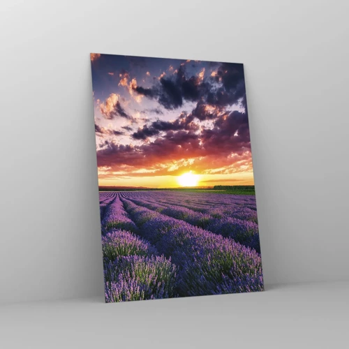 Billede på glas - Lavendelverden - 50x70 cm