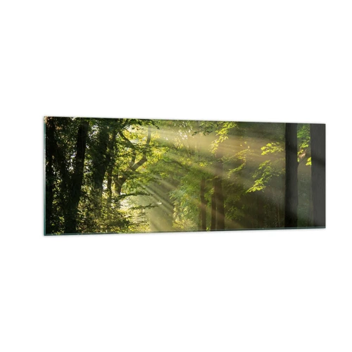 Billede på glas - Øjeblik i skoven - 140x50 cm