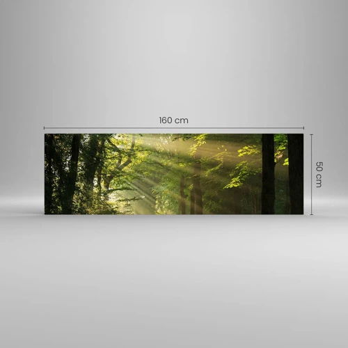 Billede på glas - Øjeblik i skoven - 160x50 cm
