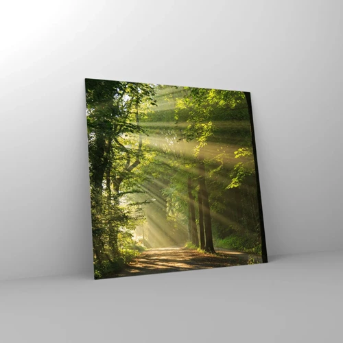 Billede på glas - Øjeblik i skoven - 50x50 cm