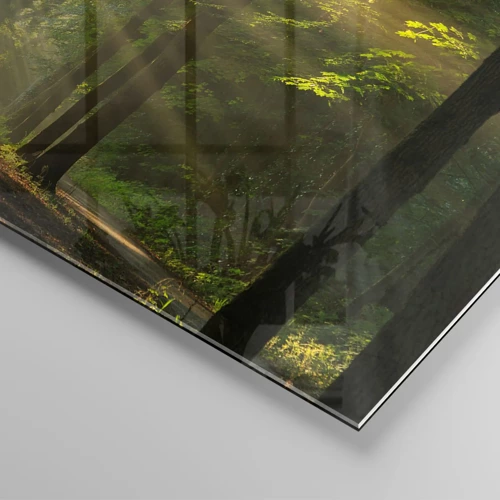 Billede på glas - Øjeblik i skoven - 50x50 cm