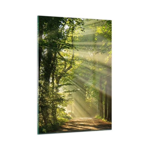 Billede på glas - Øjeblik i skoven - 50x70 cm