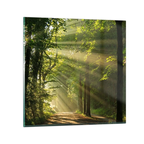 Billede på glas - Øjeblik i skoven - 60x60 cm