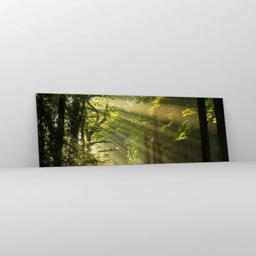 Billede på glas - Øjeblik i skoven - 90x30 cm