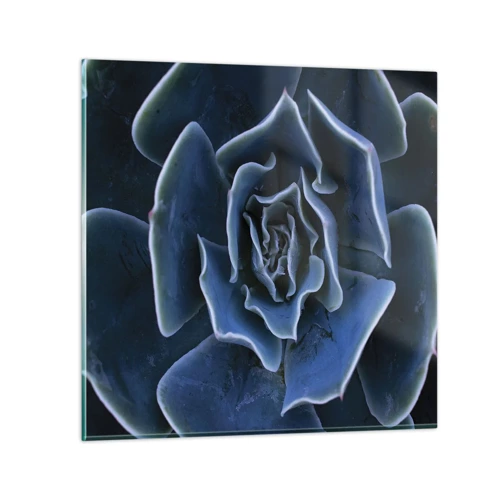 Billede på glas - Ørkenblomst - 70x70 cm