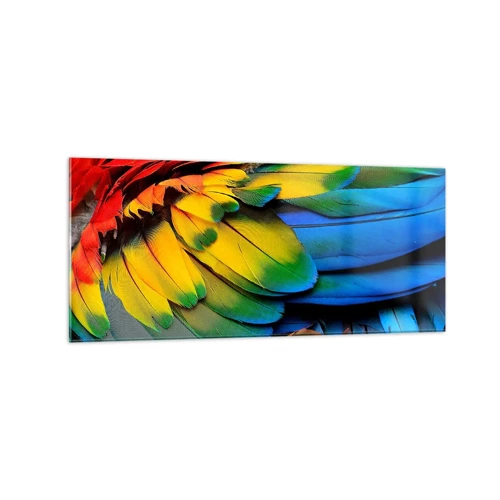 Billede på glas - Paradisfugl - 120x50 cm