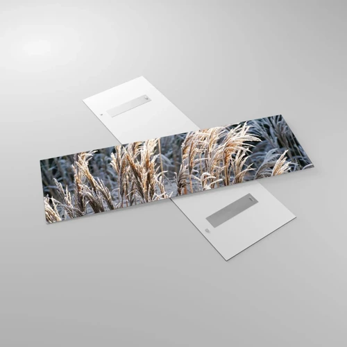 Billede på glas - Pyntet med frost - 160x50 cm