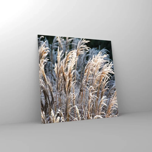 Billede på glas - Pyntet med frost - 60x60 cm