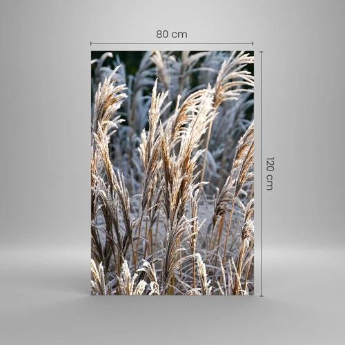 Billede på glas - Pyntet med frost - 80x120 cm
