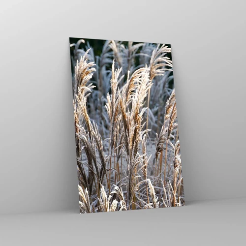 Billede på glas - Pyntet med frost - 80x120 cm