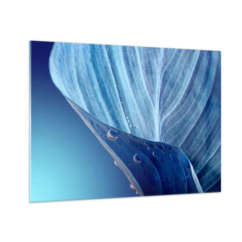 Billede på glas - Skjulte dråber af blåt - 70x50 cm