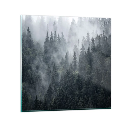 Billede på glas - Skovens daggry - 70x70 cm