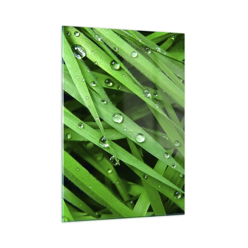 Billede på glas - Spil grønt - 50x70 cm