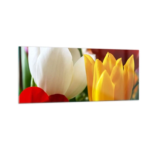 Billede på glas - Tulipanfeber - 100x40 cm