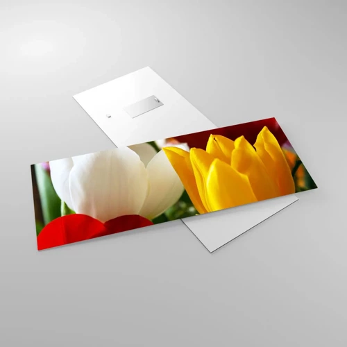 Billede på glas - Tulipanfeber - 100x40 cm