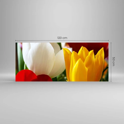 Billede på glas - Tulipanfeber - 120x50 cm