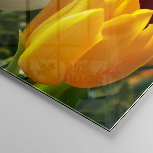 Billede på glas - Tulipanfeber - 120x50 cm