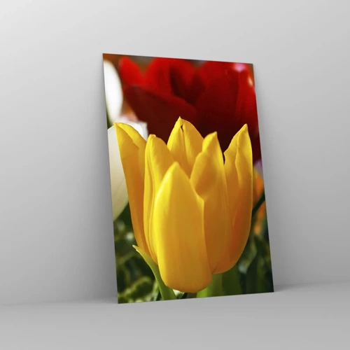 Billede på glas - Tulipanfeber - 70x100 cm