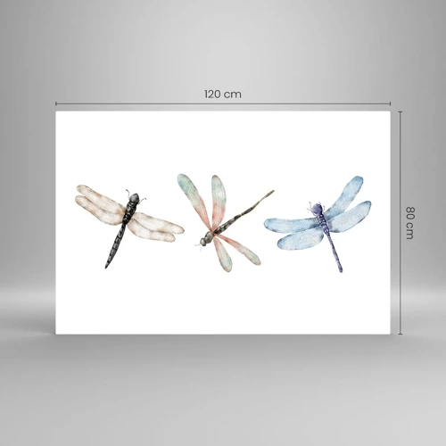 Billede på glas - Vægtløse guldsmede - 120x80 cm