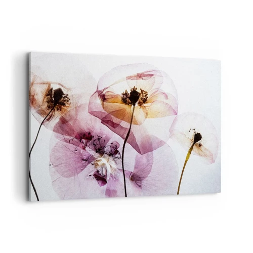 Lærredstryk - Billede på lærred - Blomsterlegeme dias - 120x80 cm