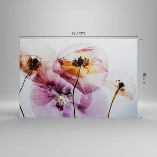 Lærredstryk - Billede på lærred - Blomsterlegeme dias - 120x80 cm