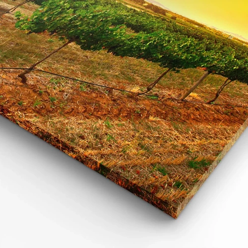 Lærredstryk - Billede på lærred - Drik solen - 120x50 cm