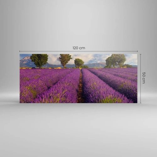 Lærredstryk - Billede på lærred - Enge med lavendel - 120x50 cm