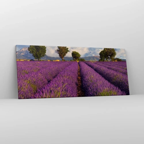 Lærredstryk - Billede på lærred - Enge med lavendel - 120x50 cm