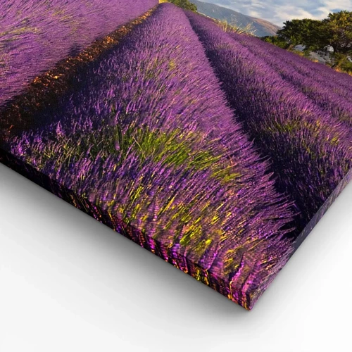 Lærredstryk - Billede på lærred - Enge med lavendel - 120x50 cm