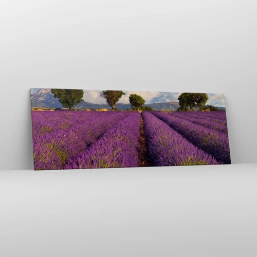 Lærredstryk - Billede på lærred - Enge med lavendel - 140x50 cm