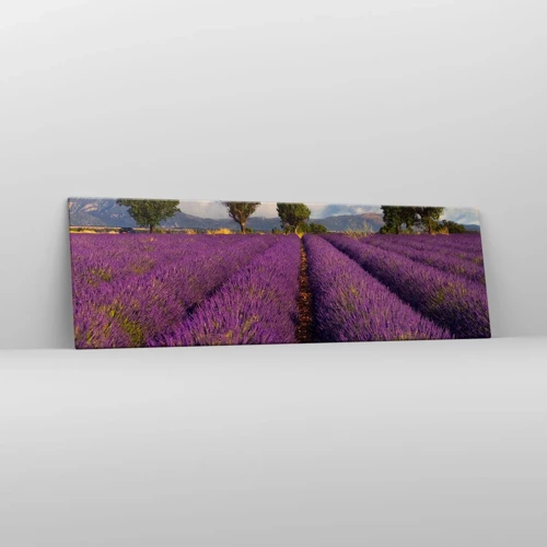 Lærredstryk - Billede på lærred - Enge med lavendel - 160x50 cm