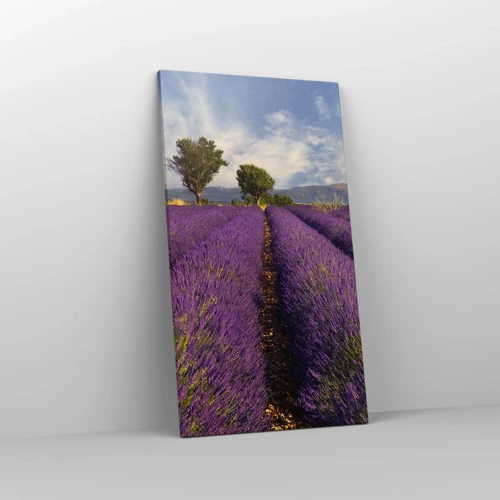 Lærredstryk - Billede på lærred - Enge med lavendel - 45x80 cm