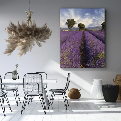 Lærredstryk - Billede på lærred - Enge med lavendel - 50x70 cm