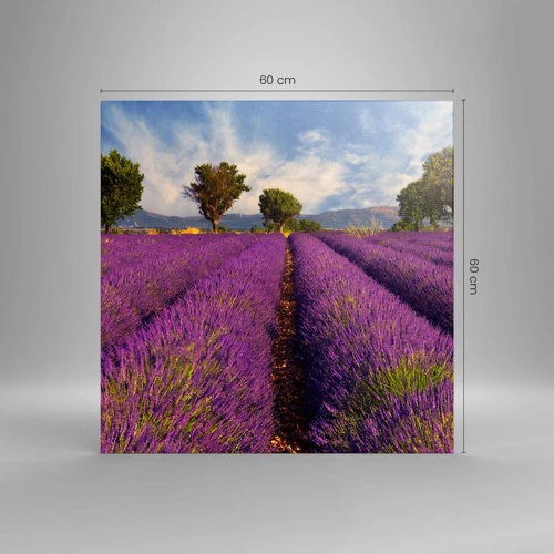 Lærredstryk - Billede på lærred - Enge med lavendel - 60x60 cm