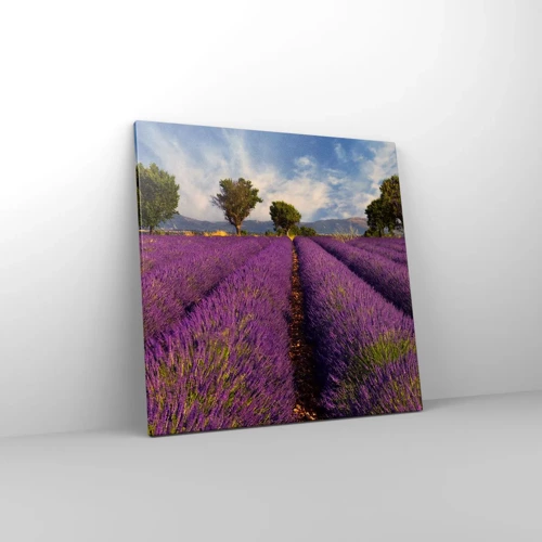 Lærredstryk - Billede på lærred - Enge med lavendel - 60x60 cm