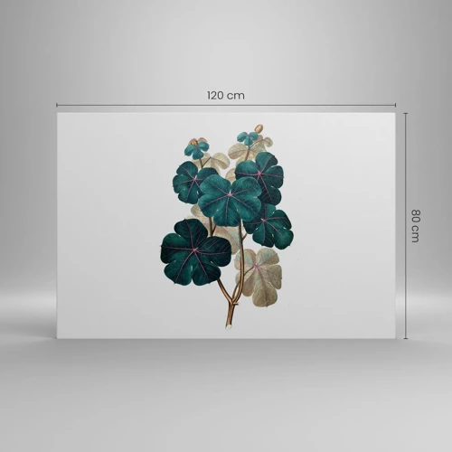 Lærredstryk - Billede på lærred - Fra et gammelt herbarium - 120x80 cm