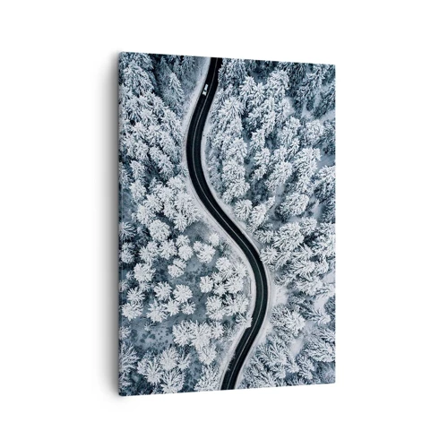 Lærredstryk - Billede på lærred - Gennem en vinterskov - 50x70 cm